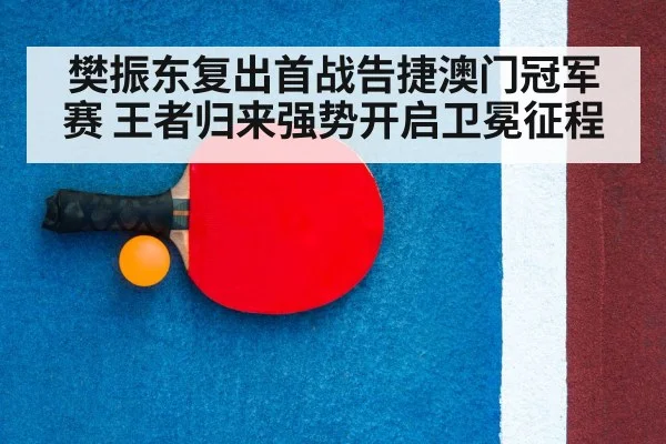 table tennis racket